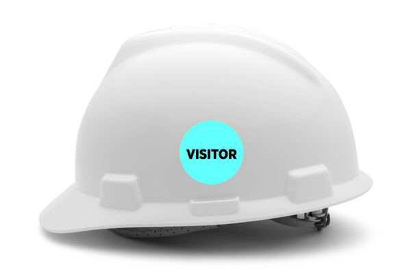 Visitor BLUE Visitor BLUE